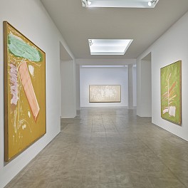 Past Exhibitions: Dan Christensen: Calligraphic Stains & Scrapes (Paintings from 1977 to 1984) Feb  8 - Mar  9, 2024