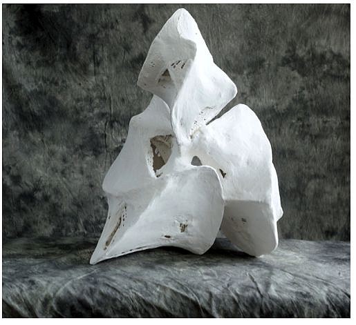 Paige Pedri, Disposition IV, 2018
Plaster and Wire, 10 x 12 x 22 in. (25.4 x 30.5 x 55.9 cm)
NYSSPED-00002