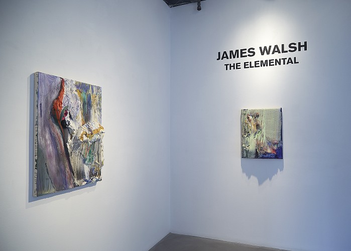 James Walsh: THE ELEMENTAL - Installation View