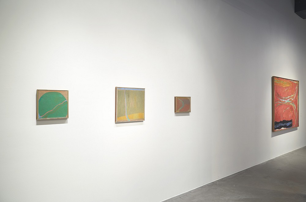 Stanley Boxer | The Ribbon Paintings (1971-1976) - Installation View