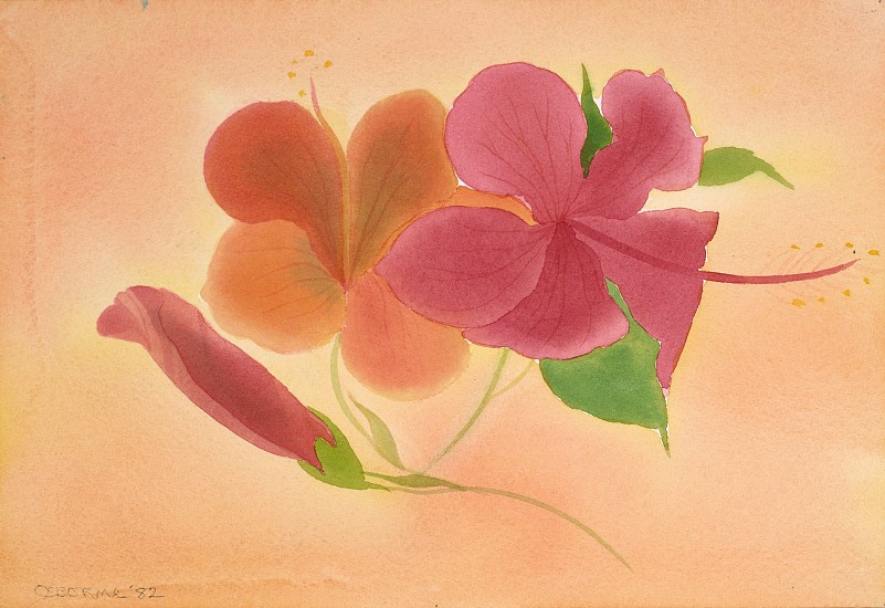 Elizabeth Osborne, Hibiscus Bermuda I, 1982
Watercolor on paper, 7 1/4 x 10 1/4 in. (18.4 x 26 cm)
OSB-00061