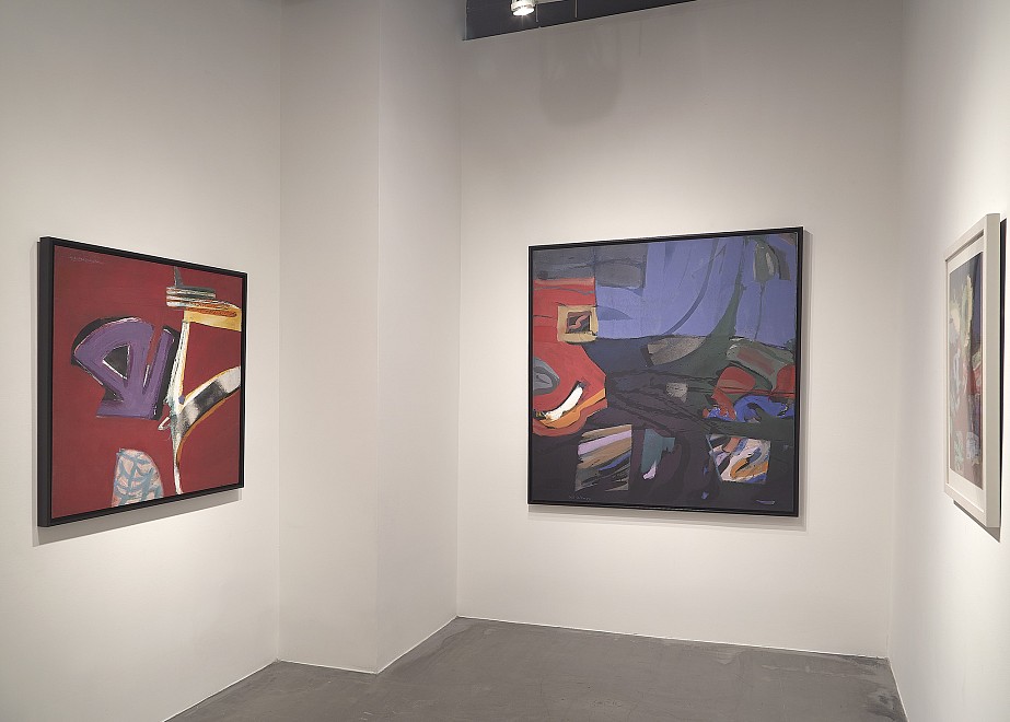 Syd Solomon: Concealed and Revealed - Installation View