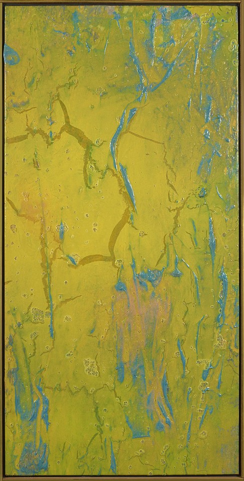 Walter Darby Bannard, Sedalia, 1976
Acrylic on canvas, 54 x 27 in. (137.2 x 68.6 cm)
BAN-00029