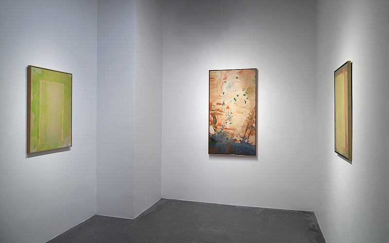 Walter Darby Bannard: See First. Name Later. (Paintings 1972 - 1976) - Installation View