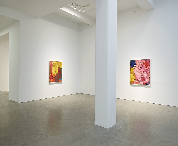 Lynne Drexler: The First Decade | Presented in Collaboration with Mnuchin Gallery - Installation View