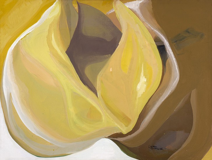 Lilian Thomas Burwell, Daffodil Growing, 1973
Oil on canvas, 30 1/2 x 40 1/8 in. (77.5 x 101.9 cm)
BUR-00005
