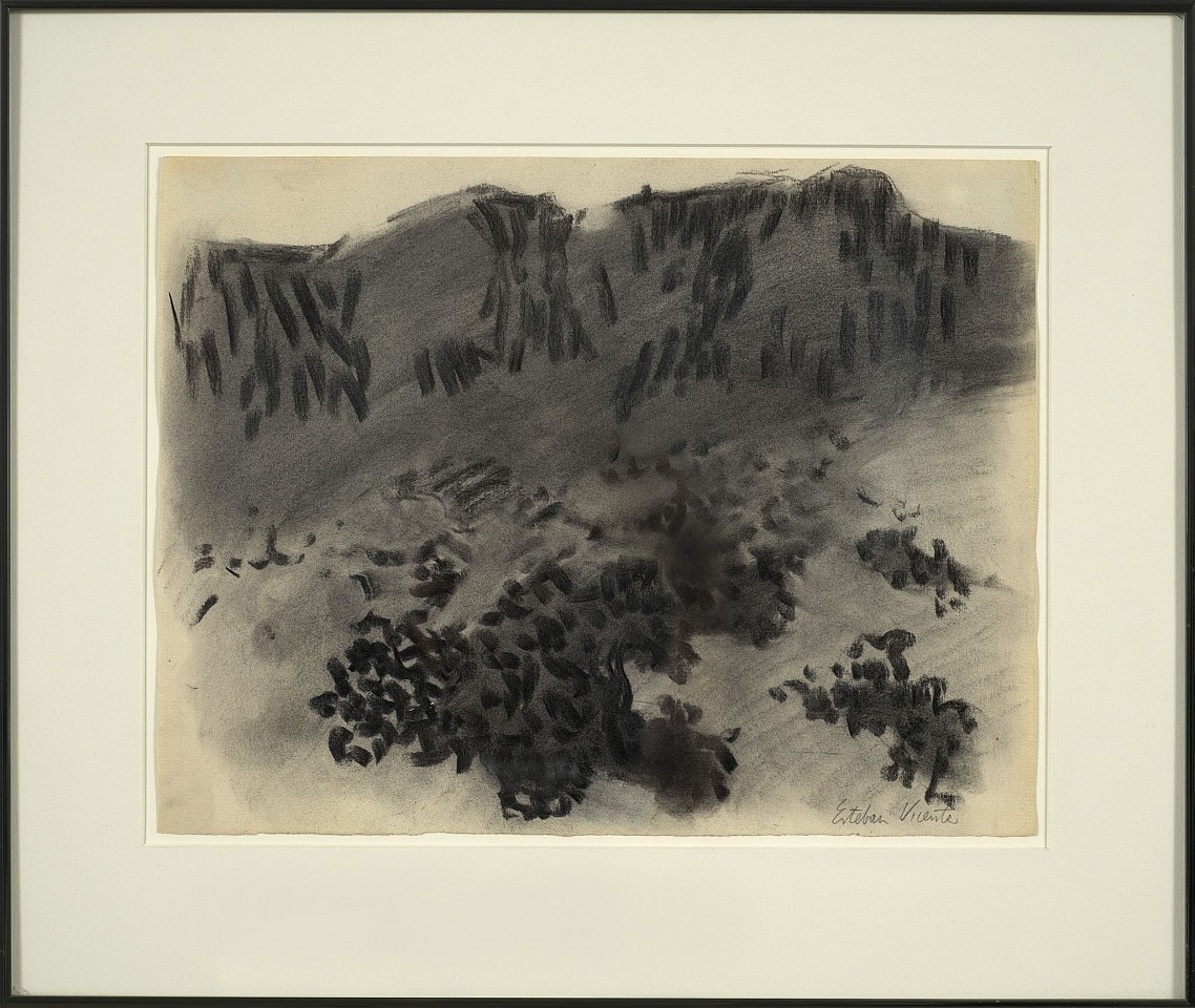 Esteban Vicente, Hawaii, c. 1969
Charcoal on paper, 9 3/4 x 12 3/4 in. (24.8 x 32.4 cm)
VIC-00002
